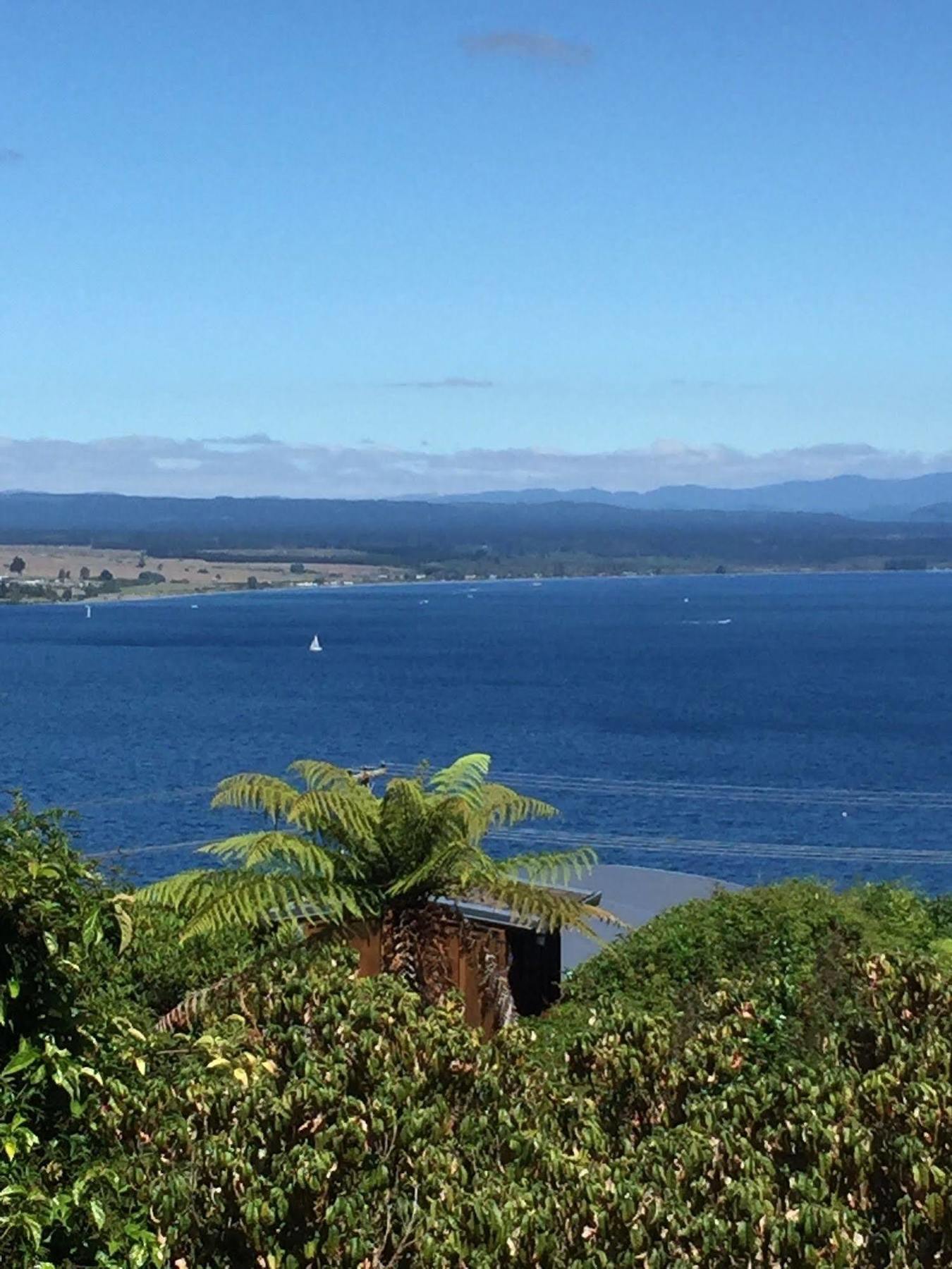 The Flying Trout Boutique Lodge Taupo Dış mekan fotoğraf