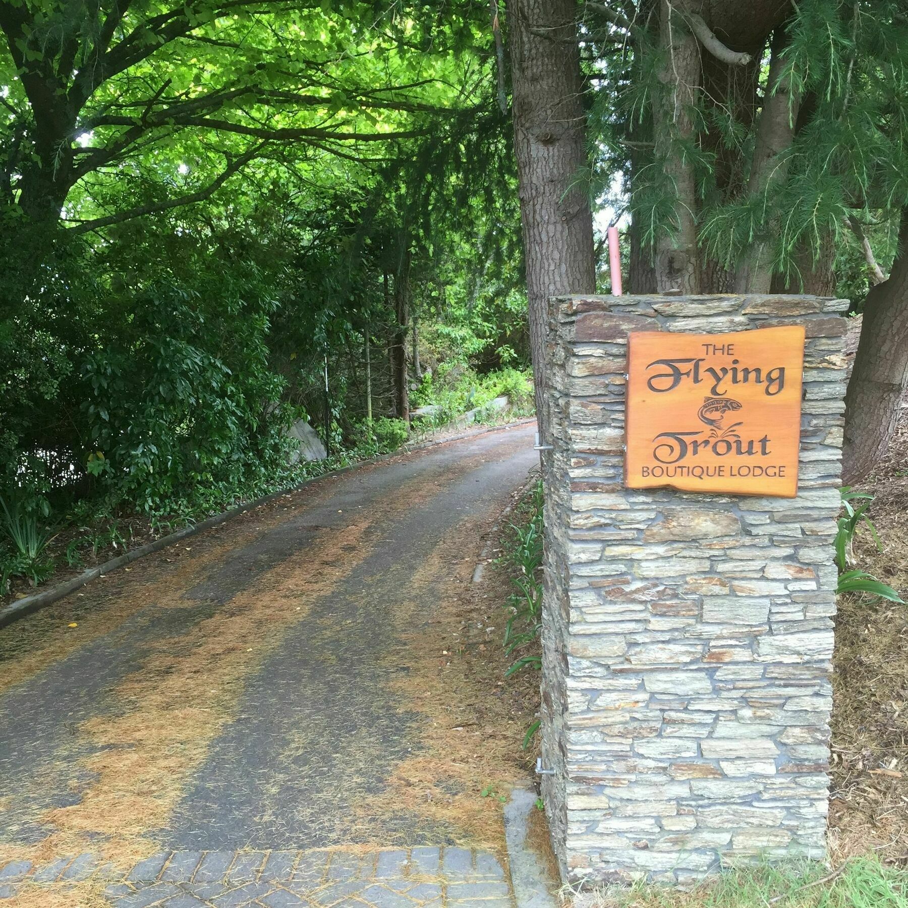 The Flying Trout Boutique Lodge Taupo Dış mekan fotoğraf